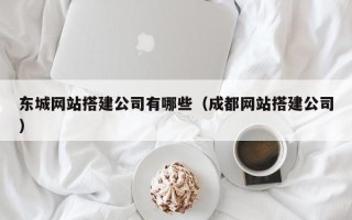 宜春东城网站搭建公司有哪些（成都网站搭建公司）